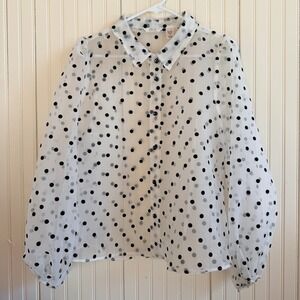 Kaktus  Sheer Polka Dot Button Down Whimsigoth Romantic Blouse Balloon Sleeve